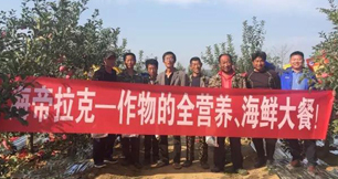 苹果树12月管理技术要点！抓紧时间看